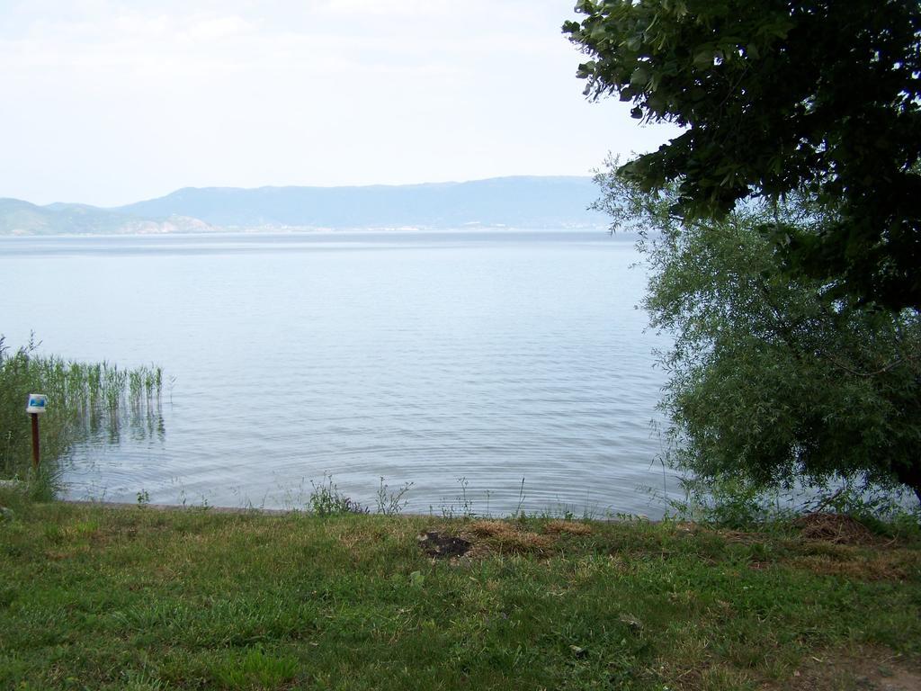 Villa Eros Apartments 2 Struga Bagian luar foto