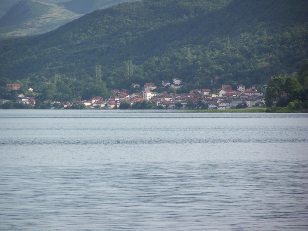 Villa Eros Apartments 2 Struga Bagian luar foto